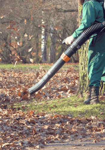 Man blowing leaves