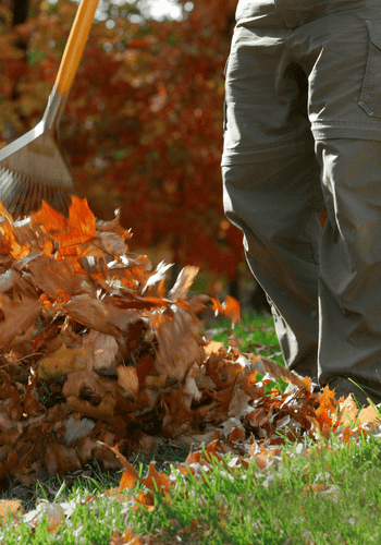 Leaves being removed from residential property.