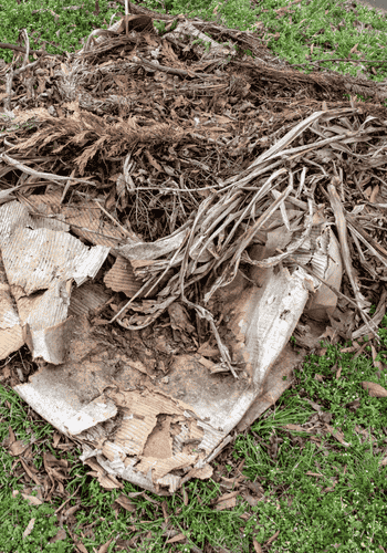 Pile of debris from a yard clean up