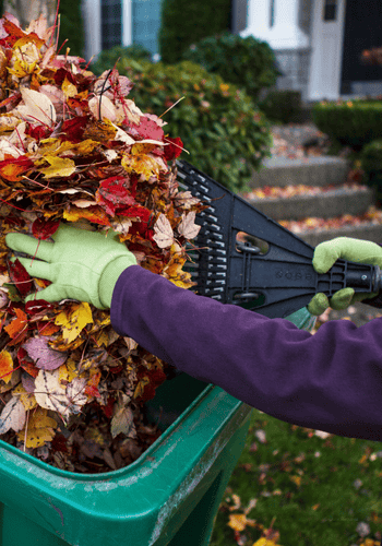 Person grabbing pile of leaves with rake in hand and gloves on